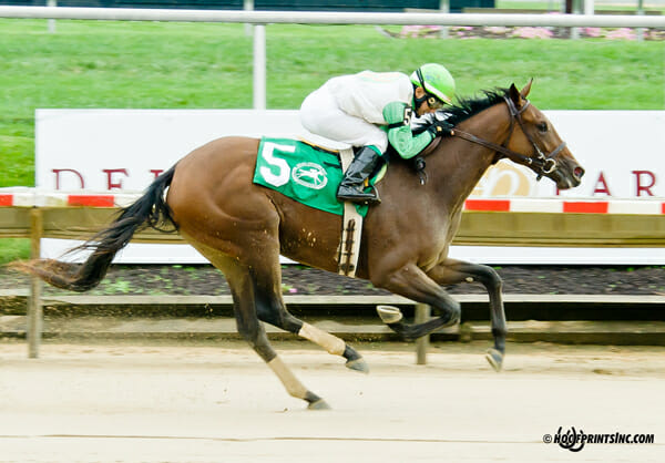 Kawfee Fa Martha winning The Small Wonder on Owners Day at Delaware Park on 9/13/14