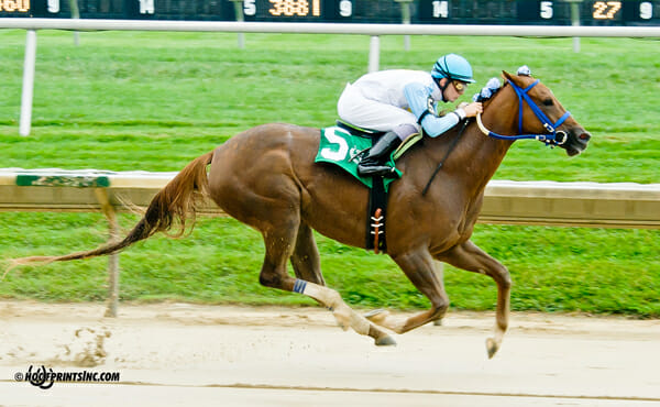 Galiana winning The Tax Free Shopping Distaff on Owners Day at Delaware Park on 9/13/14
